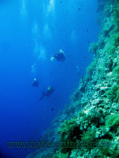 cursuri scufundari - Egipt