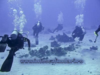 cursuri_scufundari_scuba-diving_lectii_scufundari_egipt