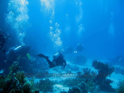 cursuri_scuba-diving_scufundari_egipt